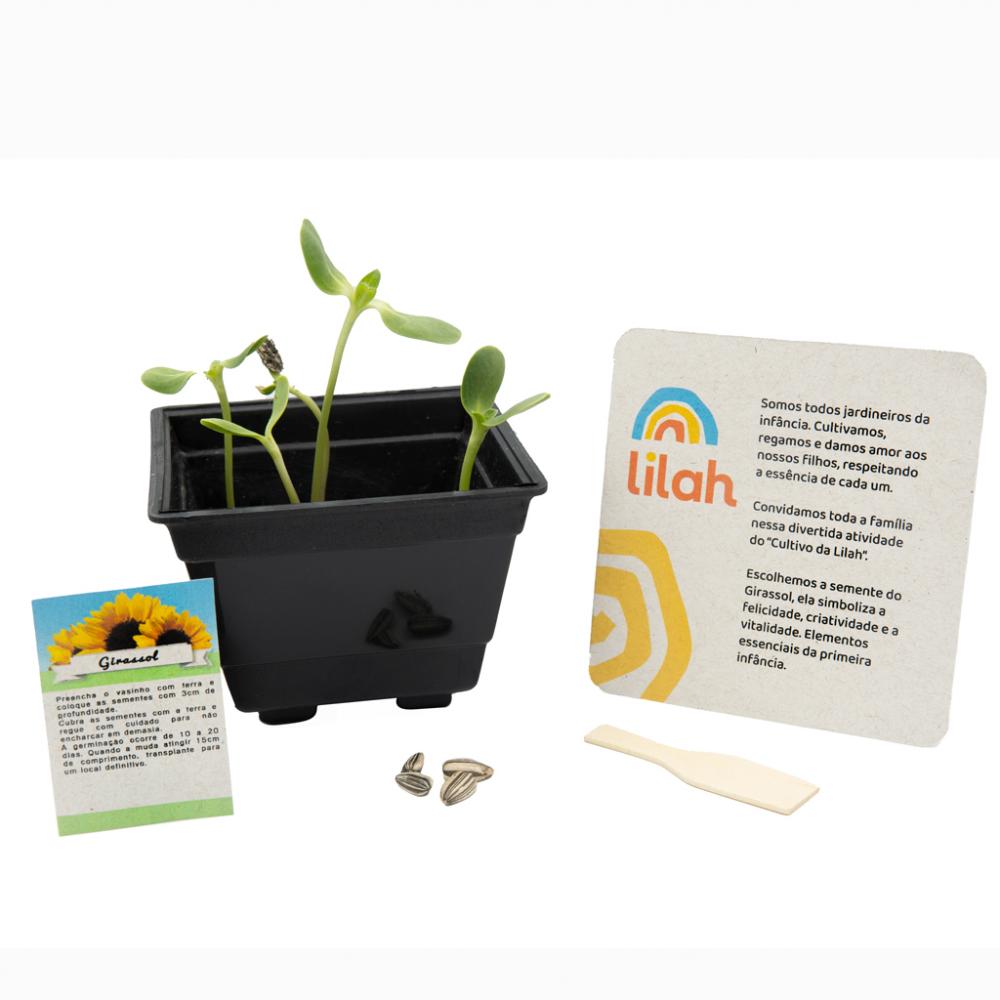 Brinde ecológico especial 