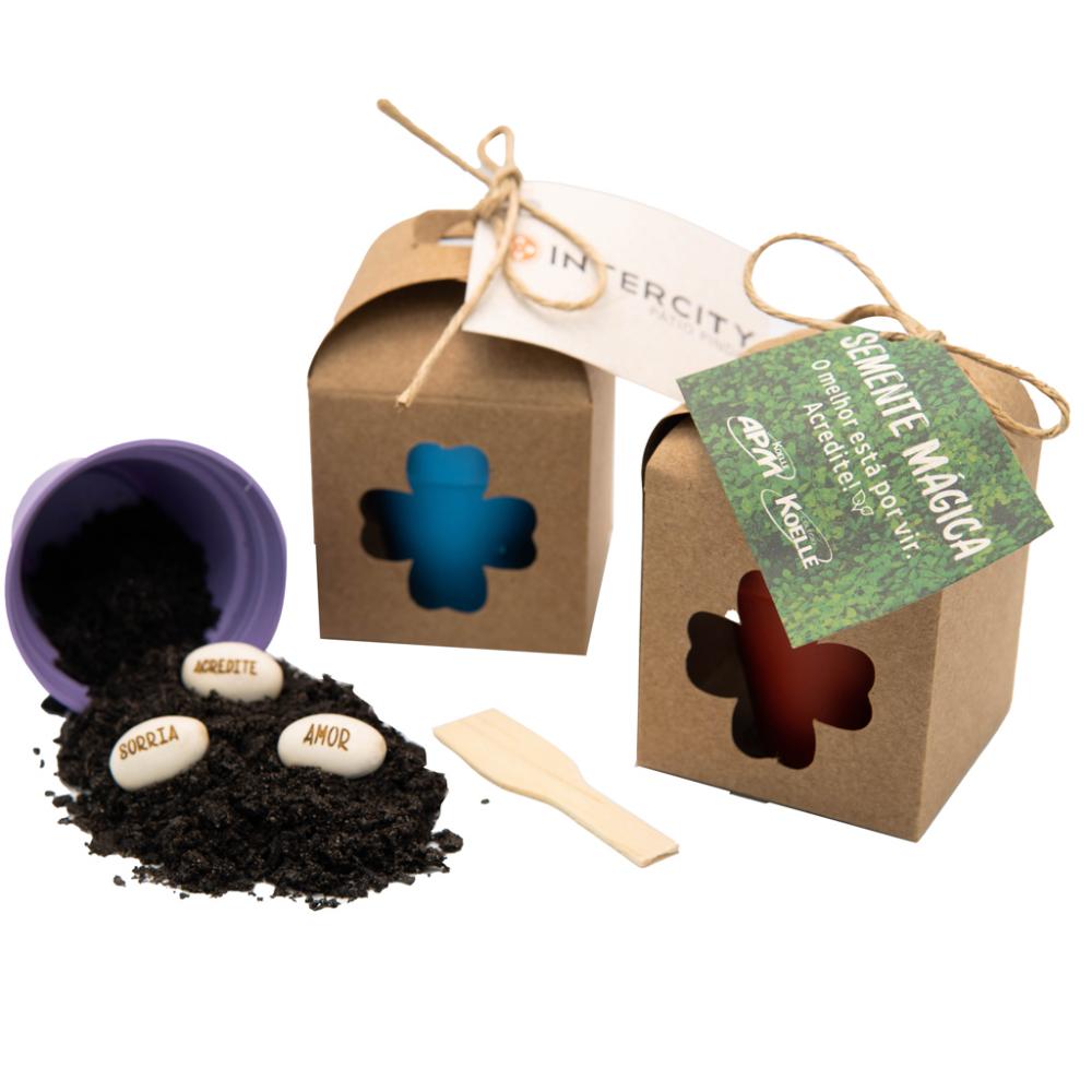 Semente mágica na caixa 