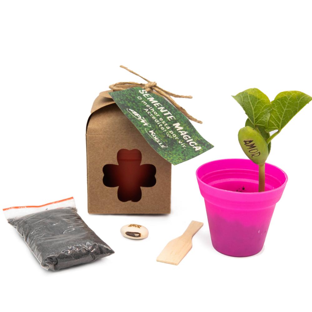 Semente mágica na caixa 