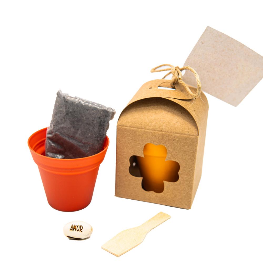 Semente mágica na caixa 